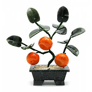 Дерево мандарин (3 плоди) (18х19х7 см) ( 18594)