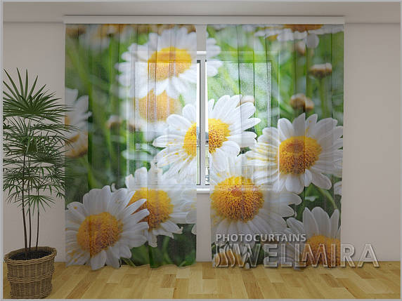 ФотоТюль Білі ромашки 250 см х 260 см фото тюль з малюнком квіти, фото 2