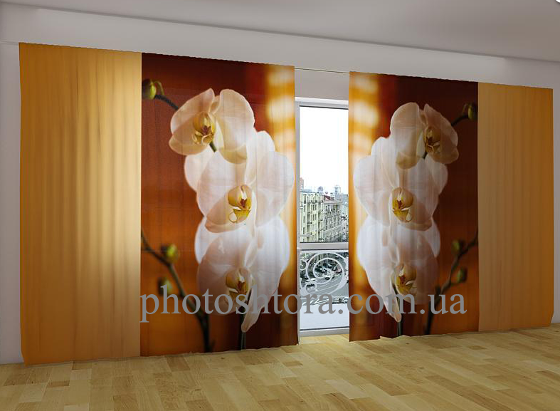 Панорамні Фотоштори "Затишні орхідеї" 270 х 500 см. VE