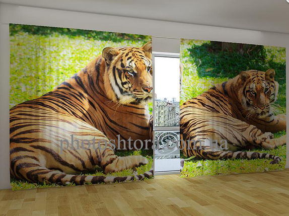 Панорамні Фотоштори "Бенгальські тигри" 270 х 500 см VE, фото 1
