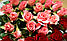 Квіткові букети, флористичні, фото 6