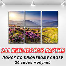 Купити картину модульну на Полотні сін., 52x80 см, (25x25-6), фото 3