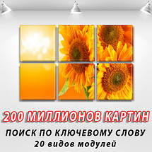 Картина модульна Соняшники, на Полотні сін., 52x80 см, (25x25-6), фото 3