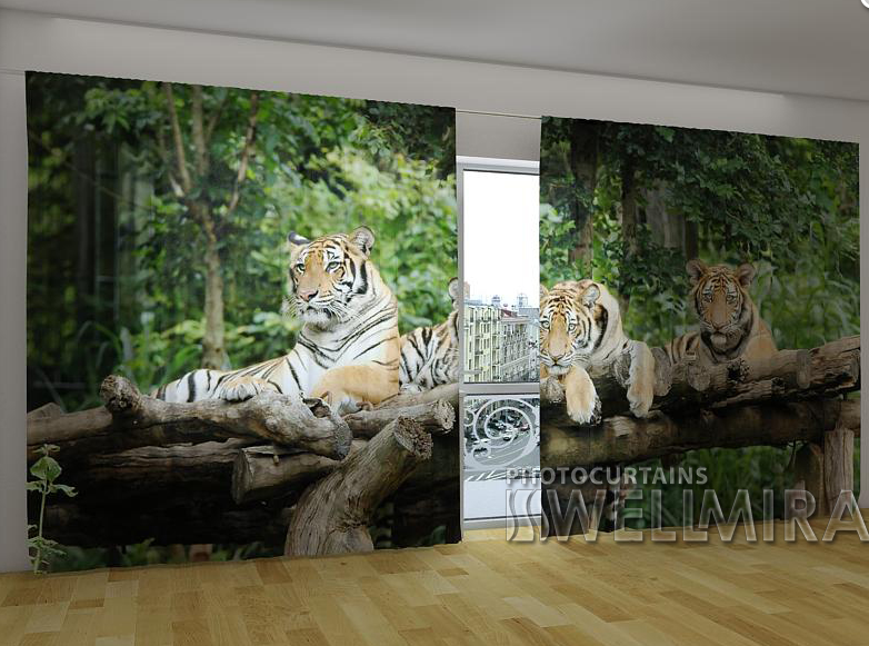 Панорамні Фотоштори "Молоді тигри" 270 х 500 см VE