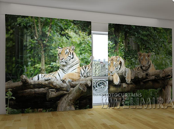 Панорамні Фотоштори "Молоді тигри" 270 х 500 см VE, фото 1