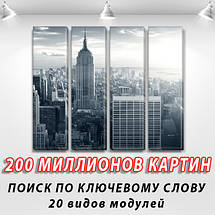 Картина модульна Чикаго, на Полотні сін., 65x80 см, (65x18-4), фото 3