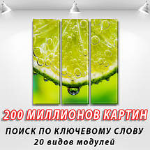 Картина модульна Соковитий лайм, на Полотні сін., 65x65 см, (65x20-3), фото 3