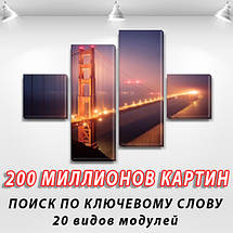 Модульна триптих картина Міст Нью Йорка, на ПВХ тканини, 50x80 см, (18x18-2/45х18-2), фото 3