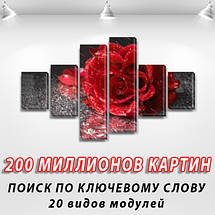 Модульна картина Троянда на чорному, 70x120 см, (25x18-2/35х18-2/65x18-2), фото 3