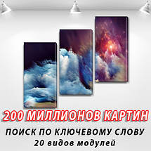 Модульні картини в спальню на Полотні, 100х110 см, (70x35-3), фото 2