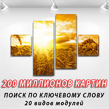 Модульні картини купити україна на ПВХ тканини, 70x110 см, (25x25-2/65х25-2), фото 3
