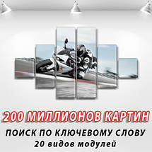 Модульні картини купити україна на ПВХ тканини, 75x130 см, (20x20-2/45х20-2/75x20-2), фото 3