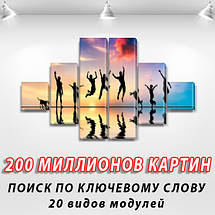 Модульна картина Стрибки над водою на ПВХ тканини, 75x130 см, (20x20-2/45х20-2/75x20-2), фото 3