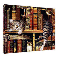 Картина на полотні на стіну для інтер`єру/спальні/прихожої Кіт і книги 45х65 см (H4565_ZVR001)