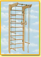  Спортивний куточок "Геркулес" середній з турніком "Комбі" (сосна) 240