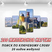 Модульна картина Палац Піна на ПВХ тканини, 80x135 см, (30x20-2/40х20-2/75x20-2), фото 3
