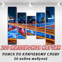 Картина модульна Кільцева дорога на ПВХ тканини, 90x110 см, (90x20-2/60х20-2/45x20), фото 3