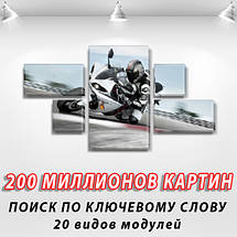 Модульні картини купити україна на Полотні, 80x140 см, (25x45-2/25х25-2/80x45), фото 3