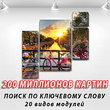 Модульна картина Рожевий велосипед на Полотні, 120x130 см, (60x30-2/25х30-2/95x65), фото 3