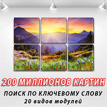 Модульні картини купити україна на Полотні, 72x110 см, (35x35-6), фото 3