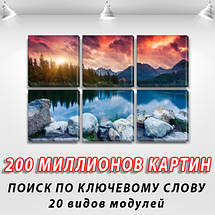 Модульні картини в спальню на Полотні, 72x110 см, (35x35-6), фото 3