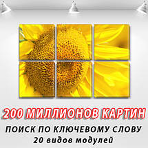 Модульна картина Квітучий соняшник на Полотні, 72x110 см, (35x35-6), фото 3