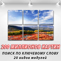 Модульні картини в спальню на Полотні, 72x110 см, (35x35-6), фото 3