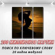 Модульні картини купити україна на Полотні, 95x95 см, (95x30-3), фото 3