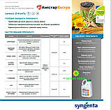 Фунгіцид Амістар Екстра 5л, фото 2