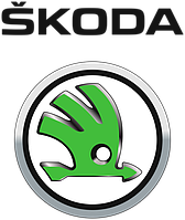 Бічні скла SKODA