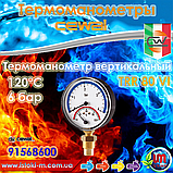 Cewal TRP 80 VI термоманометр аксіальний фронтальний Ø 80 1/2" 120 °C 4 бари, фото 6