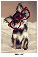 Ковёр бежевый с рисунком Собака в очках