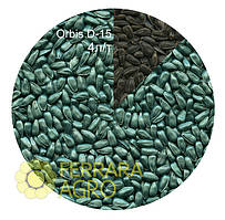 Фарба Orbis D-15 для насіння соняшнику, сої, квасолі та ін, зелена, 20 л