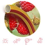 Харчової садовий шланг для поливу SYMMER GARDEN "Fruit+Berry" 1/2" 50м, фото 3