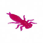 Концентрат Малина, фото 2