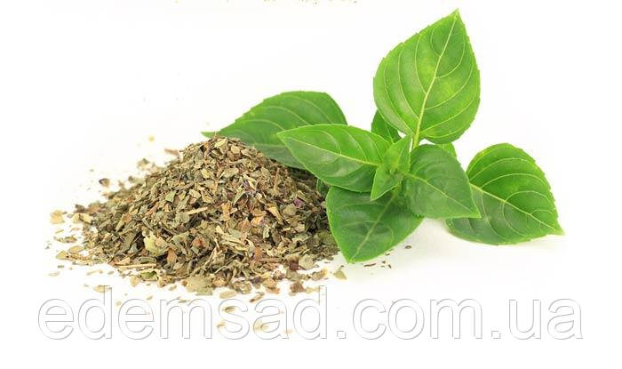 Базилік "Едемський Сад", 30 г