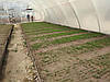 Теплица "Фермер" 10*50, фото 7
