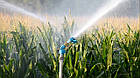 Спринклерні системи поливання для сільського господарства, системи поливання, дощівники, поливання поля, модель S 60, фото 3