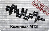 Колінвал МТЗ "240-1005015, фото 2