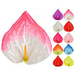 Пресс-цветок Калла крупная атлас, 14 см, фото 2