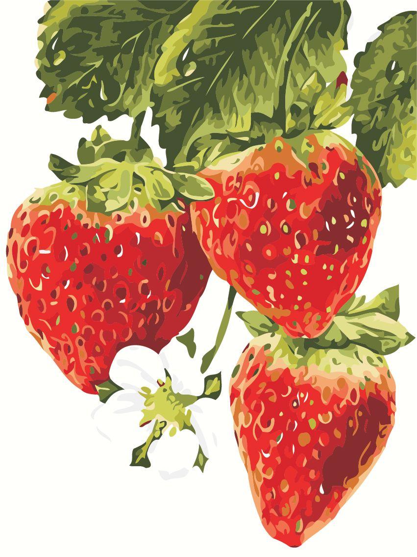 Картини за номерами Полуниця ArtStory AS0478 30 х 40 см (без коробки)
