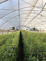 Выполнен запуск 2-й очереди отопления тепличного комплекса с применением пеллетных горелок "Air Pellet Ceramic"!!! 4