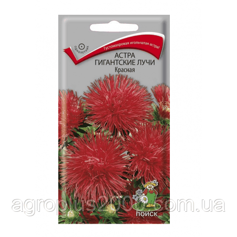 Насіння Астра голчасте Гігантські Лучі Червоне 0,3 грама Пошук