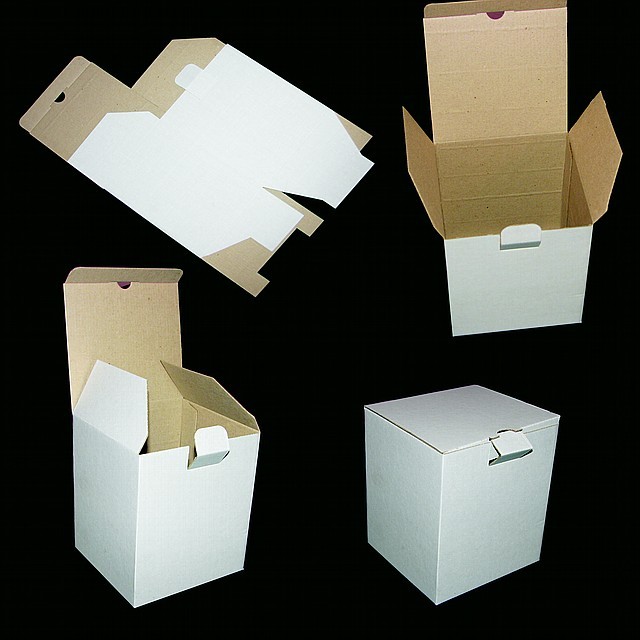 Коробка з картону самозбірна (тип ПР)