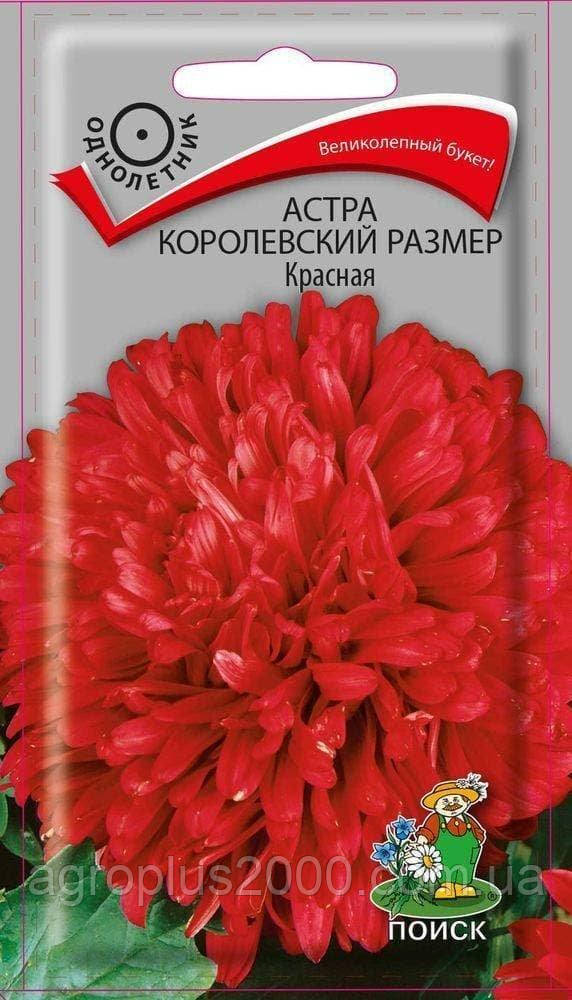 Насіння Астра зрізна Королівський Розмір Червона 0,1 грама Пошук