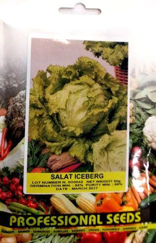 Насіння салату Айсберг Гранді 50г ТМ КОУЕЛ