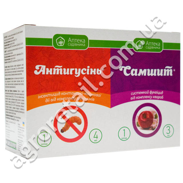 Порно аяқталды