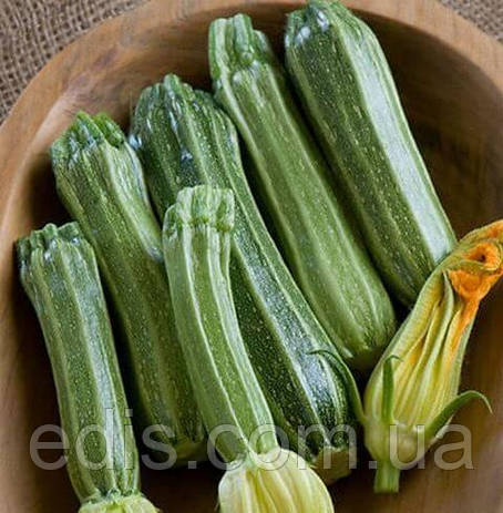 Кабачок Romanesco (Романеско), Італія, 3 г, насіння Яскрава, фото 1
