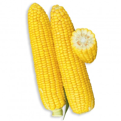 Уокер F1 кукурудза цукрова 2500нас. Lark Seeds, фото 1