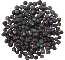 Ялівець ягода, Україна, 1 кг